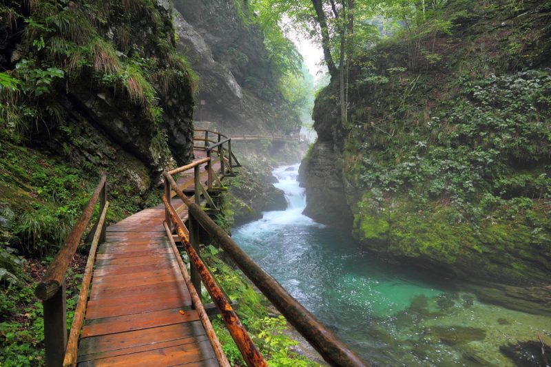 Passerelle en bois longeant la Radovna entre les parois rocheuses des gorges de Vintgar.