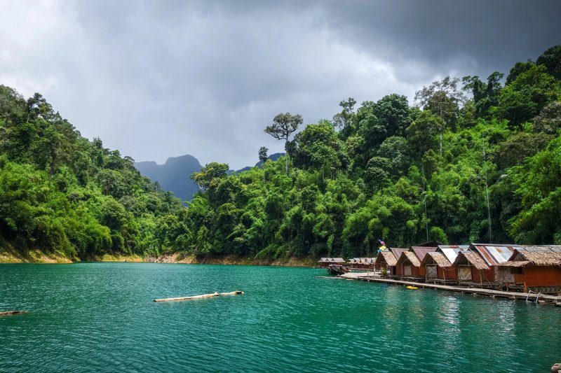 Hameaux flottants dans le Parc National de Khao Sok au milieu d’une forêt dense et verdoyante.