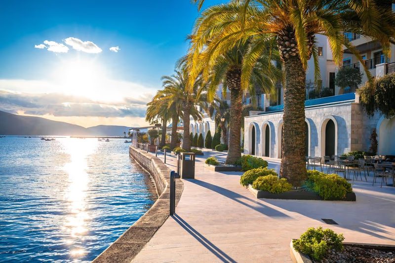 Promenade en bord de mer à Tivat au Monténégro avec palmiers et lumière dorée au coucher du soleil