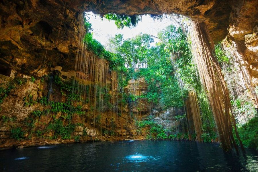 Cenote naturel au Mexique avec racines pendantes et eau turquoise