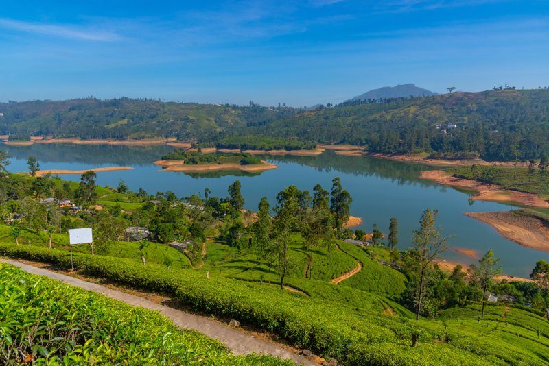 Réservoir de Castlereagh entouré de plantations de thé verdoyantes à Hatton, Sri Lanka, offrant un panorama paisible et spectaculaire.