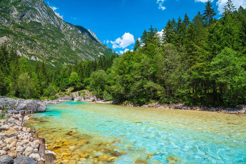 Rivière Soča aux eaux turquoise et transparentes dans la vallée de Bovec, Alpes juliennes, Slovénie
