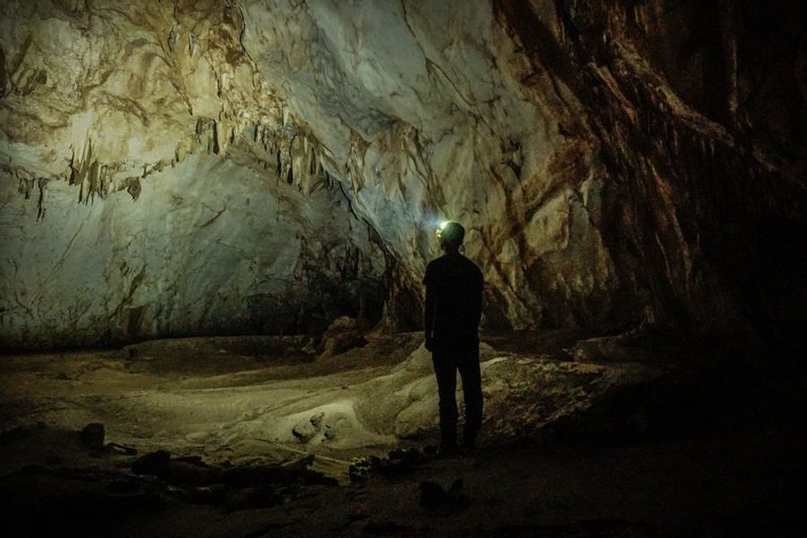 Exploration à pied dans le parc national de Phong Nha-Ke Bang