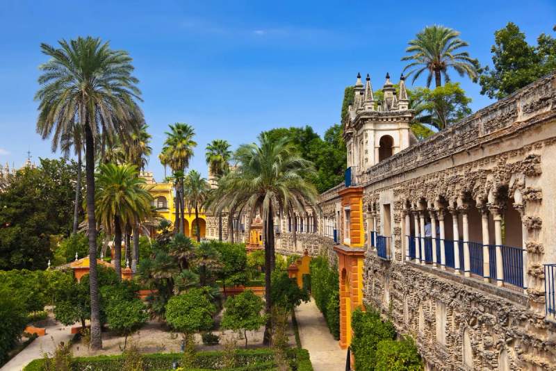 Vue des jardins luxuriants du Royal Alcázar de Séville, entourés de palmiers et d'une architecture ornée avec des colonnes et des détails décoratifs en pierre.