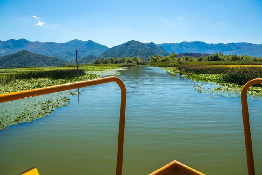 Vue depuis un bateau naviguant sur le lac Skadar près de Virpazar au Monténégro, entre nénuphars et roseaux avec les montagnes en arrière-plan
