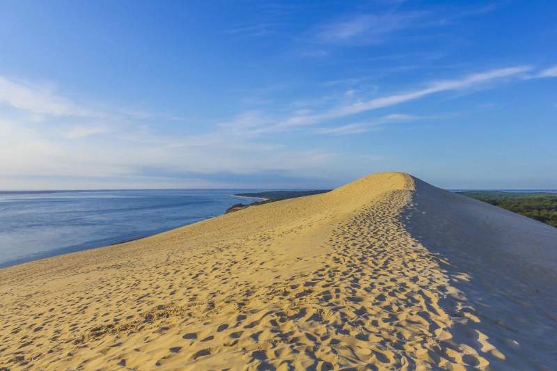 Vue panoramique de la Dune du Pilat en France, offrant une étendue de sable doré se fondant dans l'horizon de l'océan Atlantique, sous un ciel bleu éclatant.