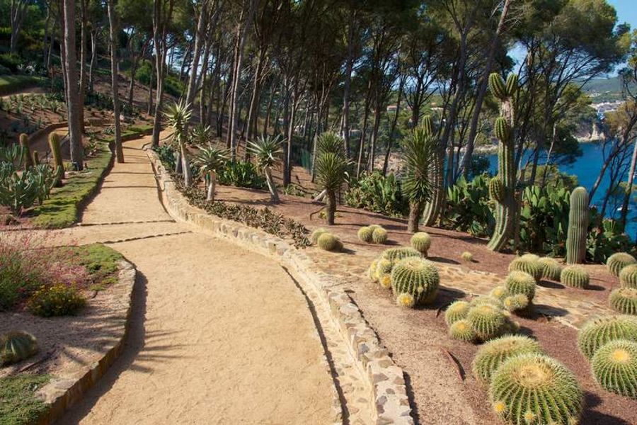 Sentier dans le jardin botanique de Cap Roig à Calella de Palafrugell, entouré de cactus et d