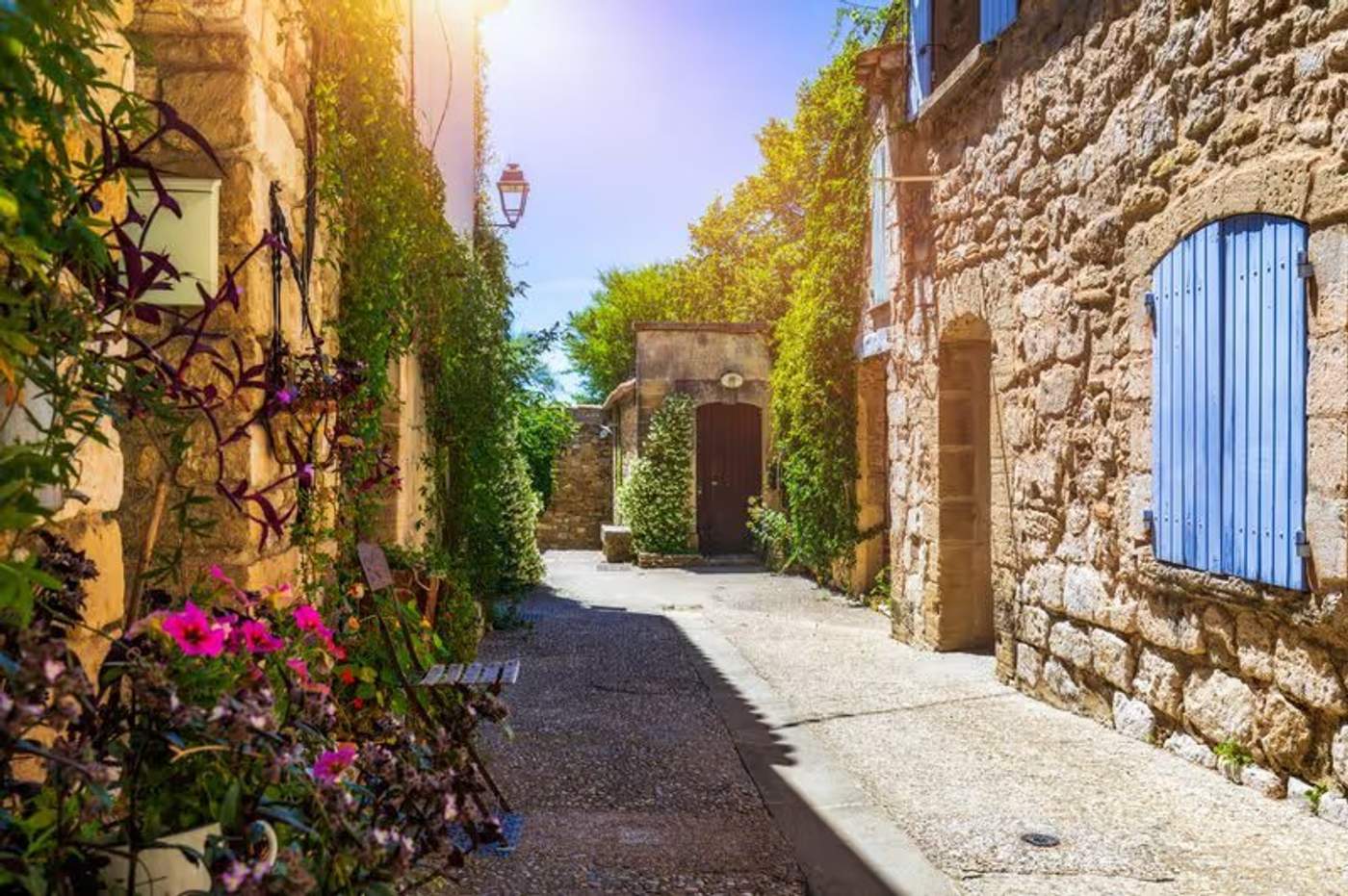 Dentelles de Montmirail · les vignes de Vacqueyras au coucher du soleil