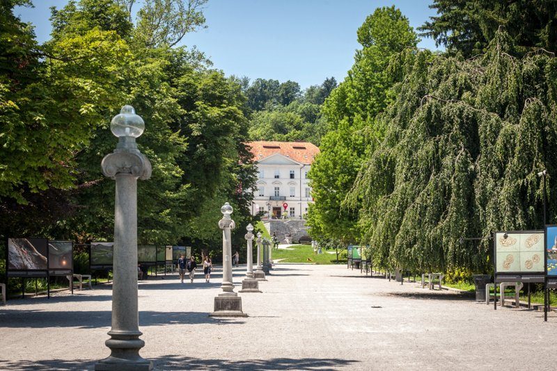 Allée principale du parc Tivoli à Ljubljana entourée d’arbres et de sculptures