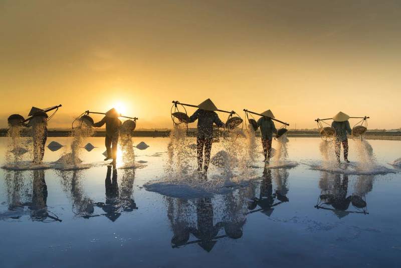 Récolte de sel au Vietnam