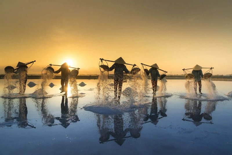 Récolte de sel au Vietnam