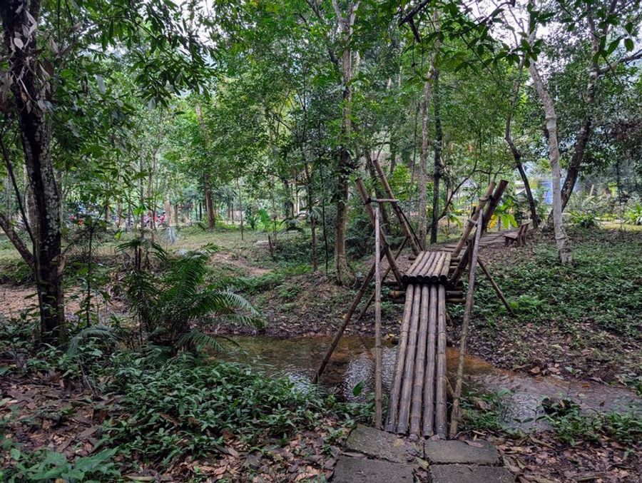 Sentier et pont de bois dans le jardin botanique de Phong Nha