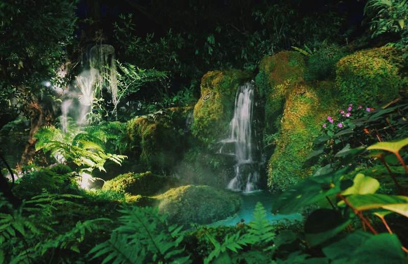 Cascade dans une jungle tropicale luxuriante la nuit, rochers couverts de mousse, fougères et brume sous un éclairage artificiel