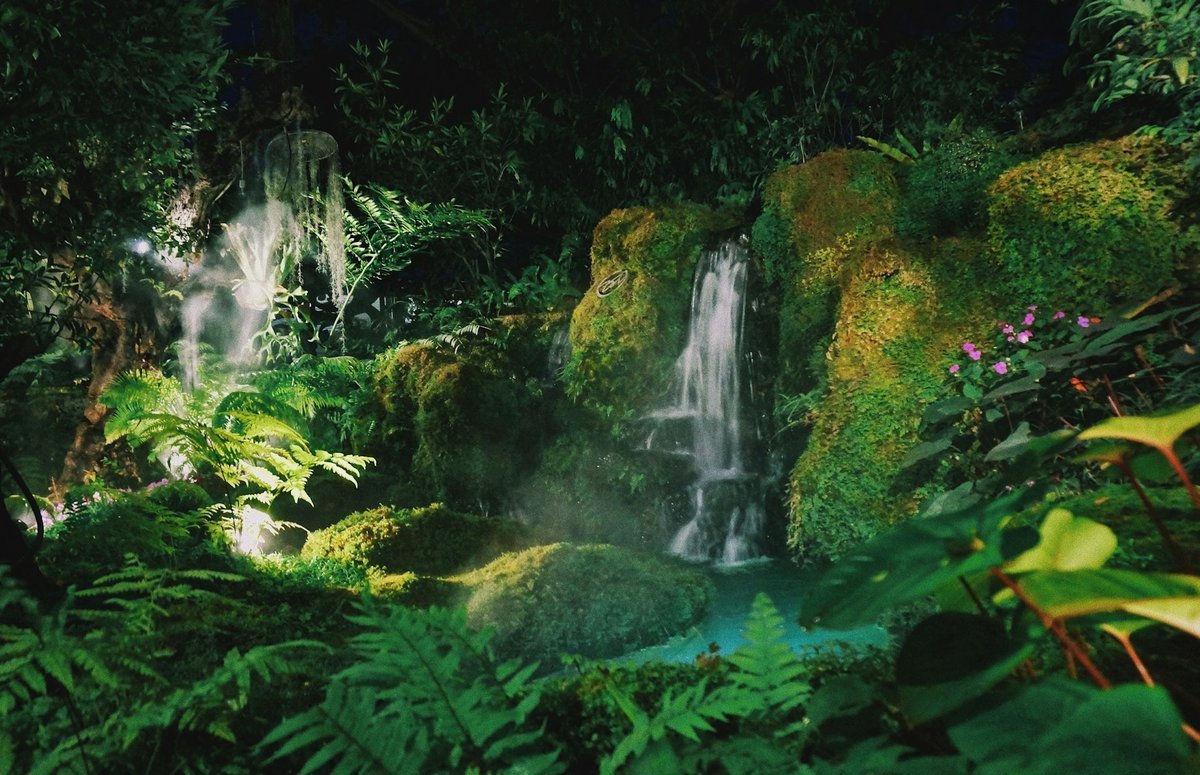 Cascade dans une jungle tropicale luxuriante la nuit, rochers couverts de mousse, fougères et brume sous un éclairage artificiel