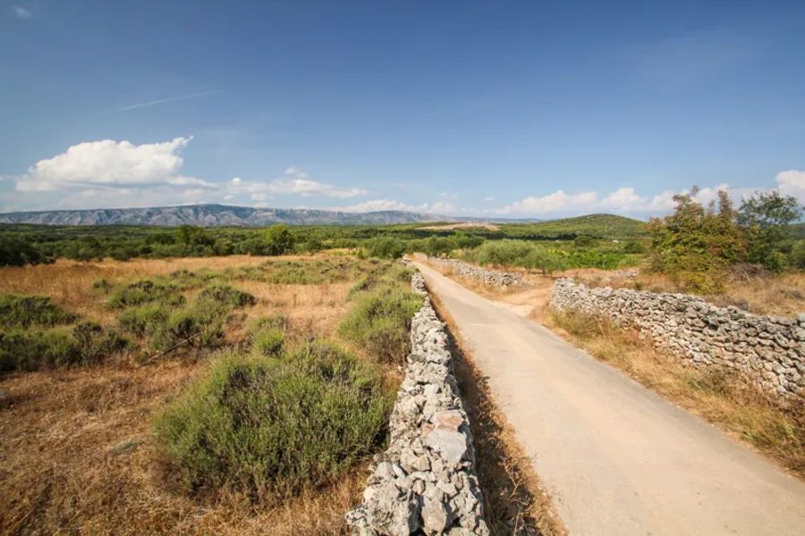 Un chemin avec des parcelles Grecs dans la plaine de Stari Grad
