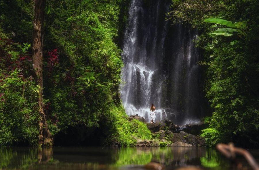 Une cascade spectaculaire à Munduk, entourée de forêt tropicale dense.
