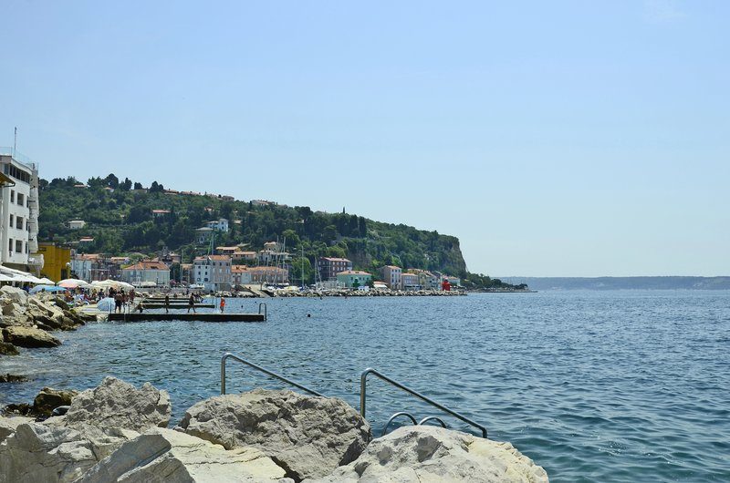 Baignade au pied des remparts de Piran sur la côte adriatique slovène