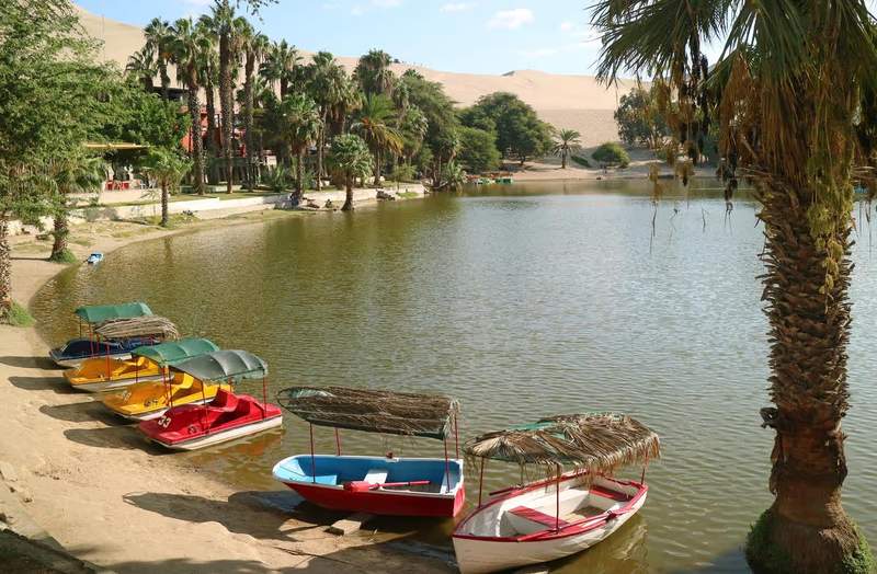 Barques colorées alignées au bord de la lagune de Huacachina, entourée de palmiers et de dunes, Pérou