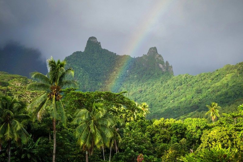 Paysage montagneux luxuriant en Polynésie Française, avec une forêt tropicale verdoyante et un arc-en-ciel apparaissant après la pluie