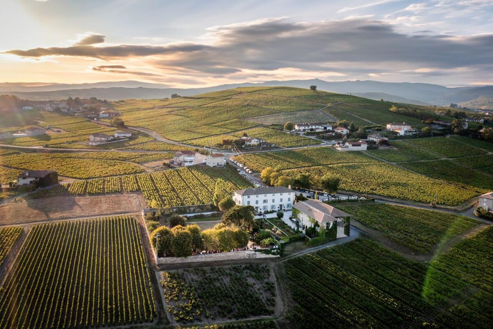 Vue aérienne d'un domaine viticole au coucher du soleil entouré de vignobles en collines