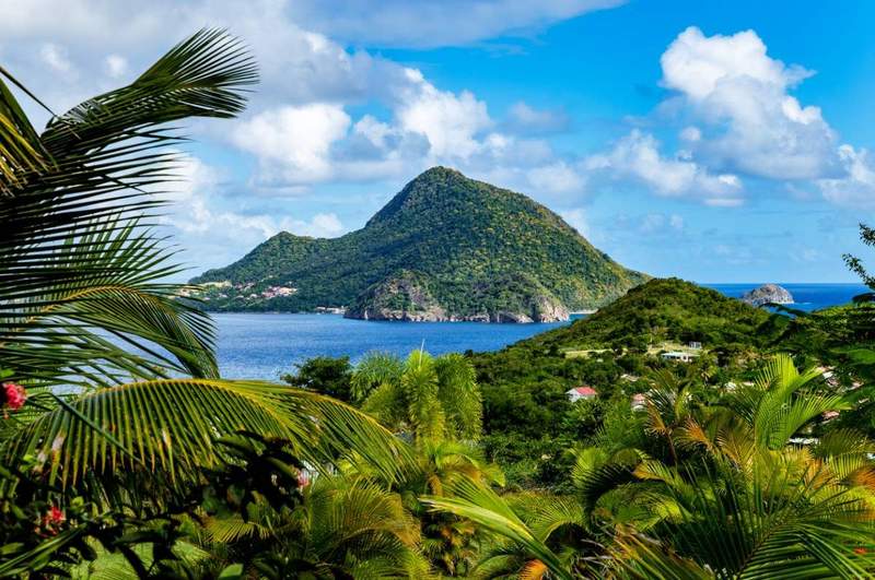 Vue panoramique sur les îles des Saintes depuis la végétation tropicale de Guadeloupe, avec mer des Caraïbes et collines verdoyantes
