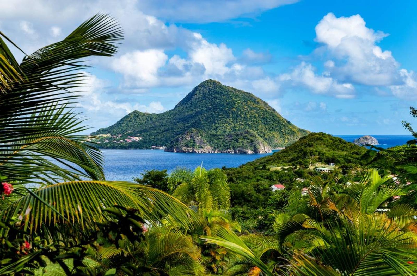 Vue panoramique sur les îles des Saintes depuis la végétation tropicale de Guadeloupe, avec mer des Caraïbes et collines verdoyantes