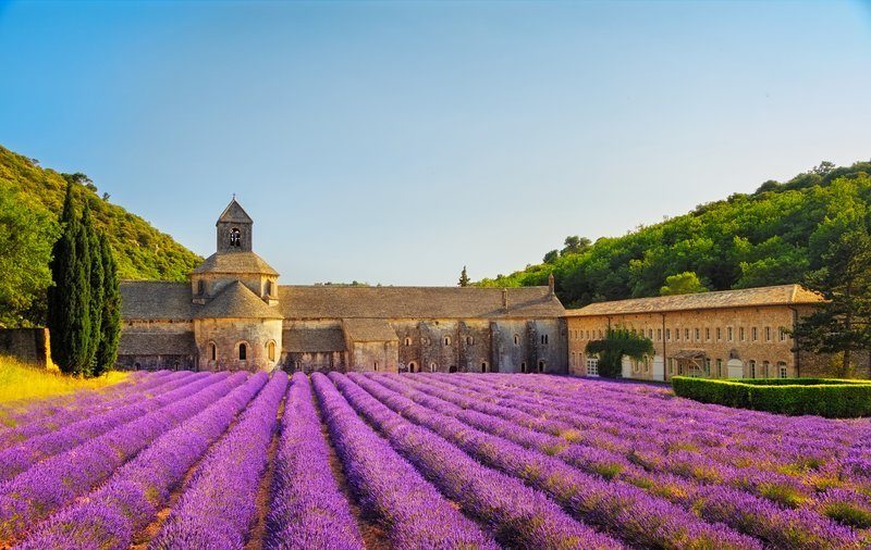 L’Abbaye de Sénanque entourée de champs de lavande en pleine floraison.