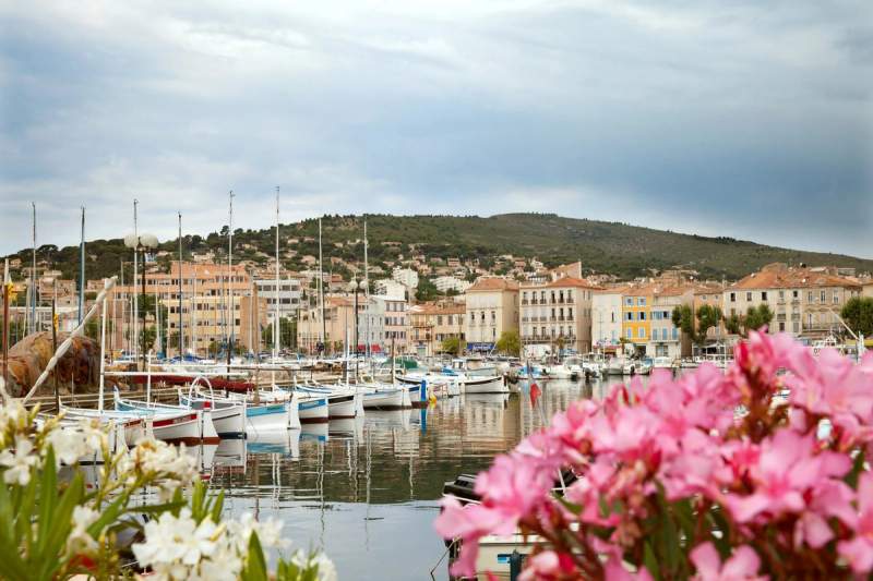 Vue panoramique du vieux port de La Ciotat avec des bateaux amarrés et des fleurs roses en premier plan, entouré de collines et de bâtiments colorés.