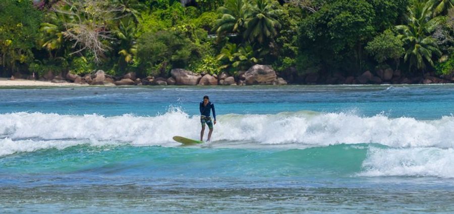 Un surfeur en combinaison bleue chevauche une vague à Weligama, avec en arrière-plan une plage bordée de palmiers et une eau bleu-vert.