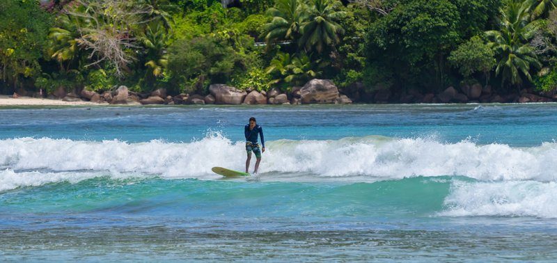 Un surfeur en combinaison bleue chevauche une vague à Weligama, avec en arrière-plan une plage bordée de palmiers et une eau bleu-vert.