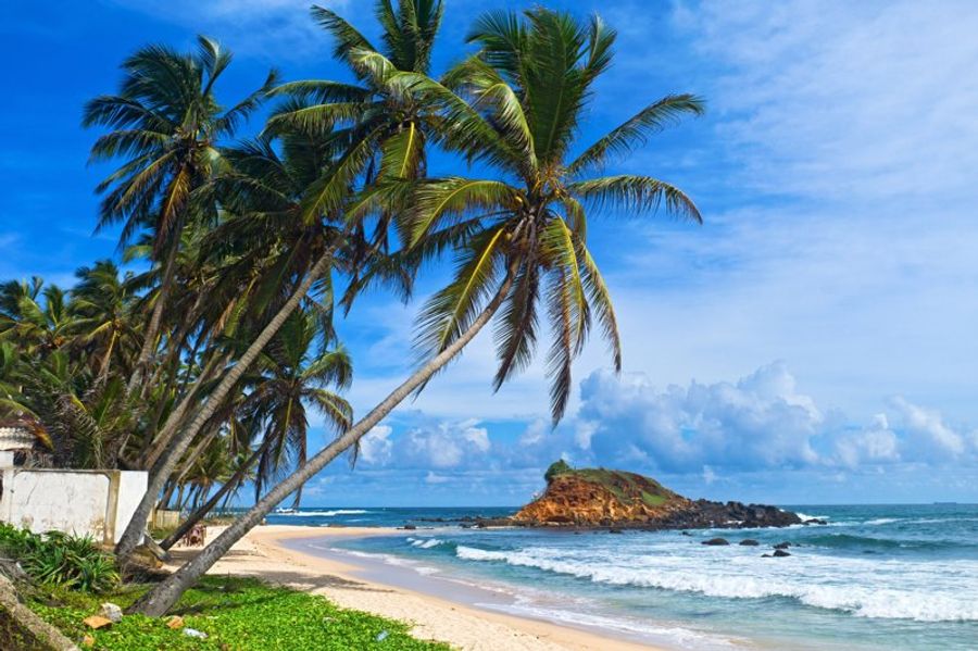 Plage de Mirissa avec son sable doré, ses vagues légères et ses cocotiers inclinés, offrant un paysage tropical sous un ciel bleu éclatant.