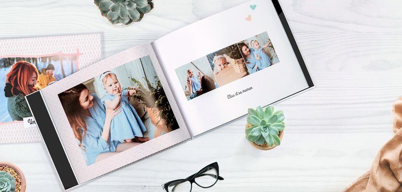 Un livre photo ouvert sur une table avec des plantes succulentes autour.