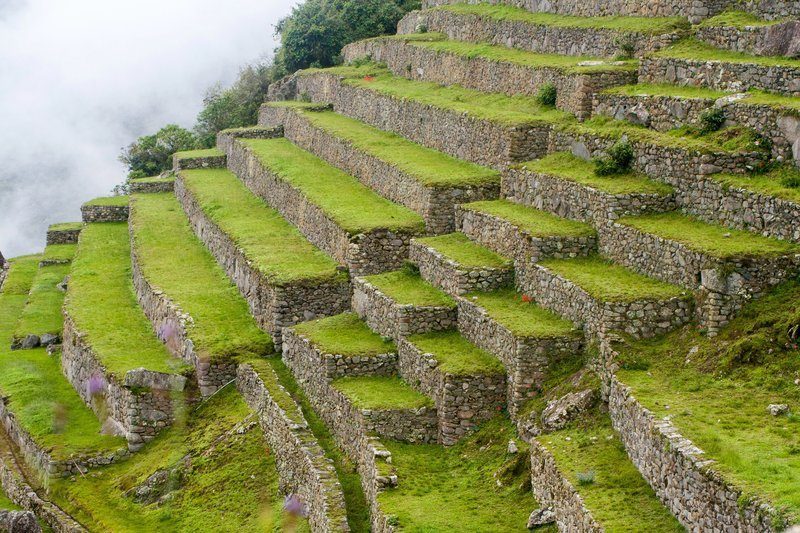 Terrasses agricoles en pierre du Machu Picchu utilisées par les Incas pour la culture en altitude.