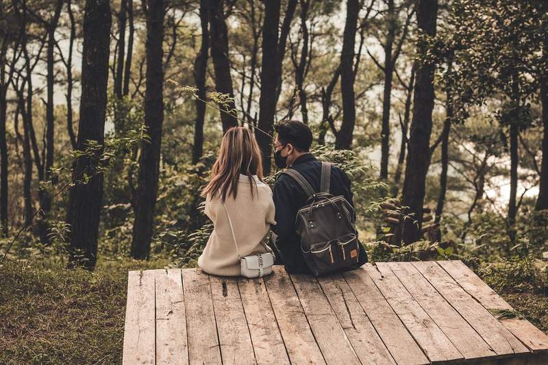 Couple de randonneurs assis sur une plateforme en bois, vue de dos, admirant une forêt de pins