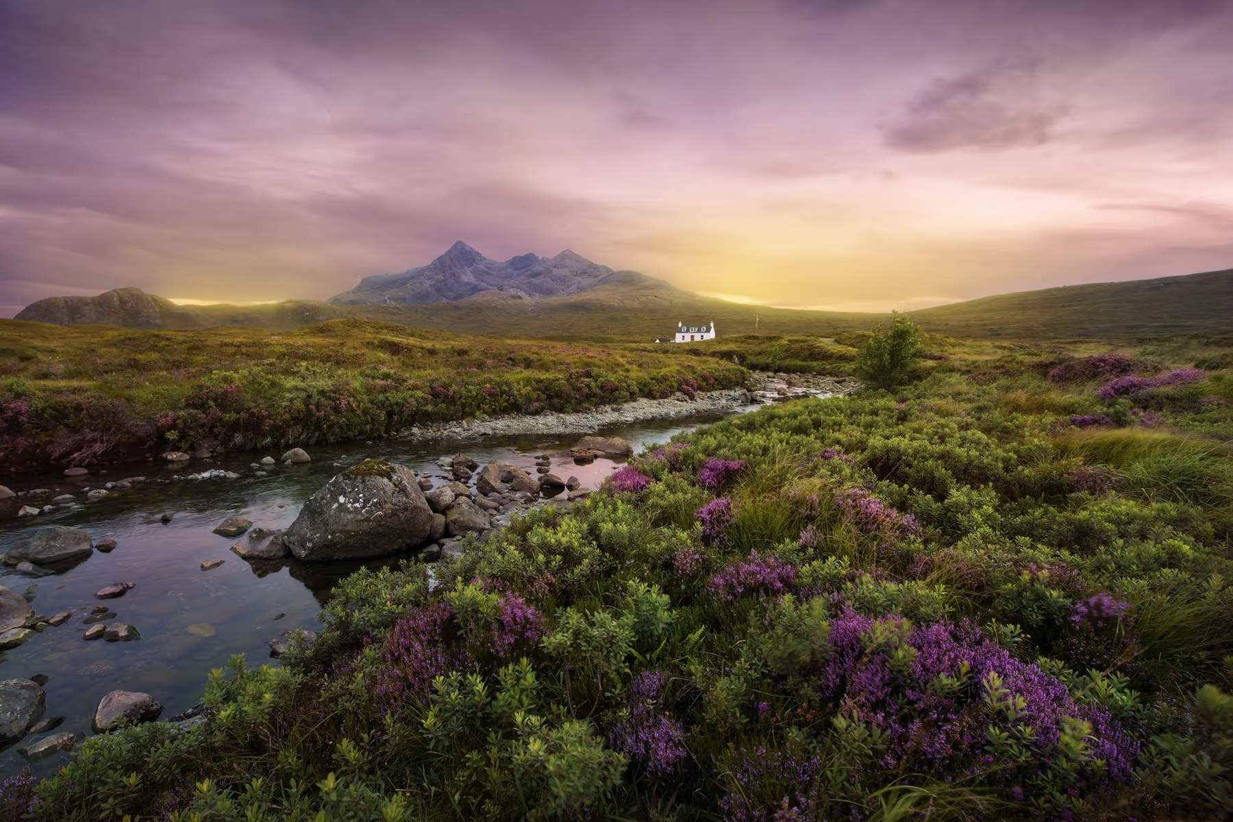 Paysage écossais au coucher du soleil avec des montagnes en arrière-plan et une maison isolée près d'une rivière entourée de végétation luxuriante et de bruyères violettes
