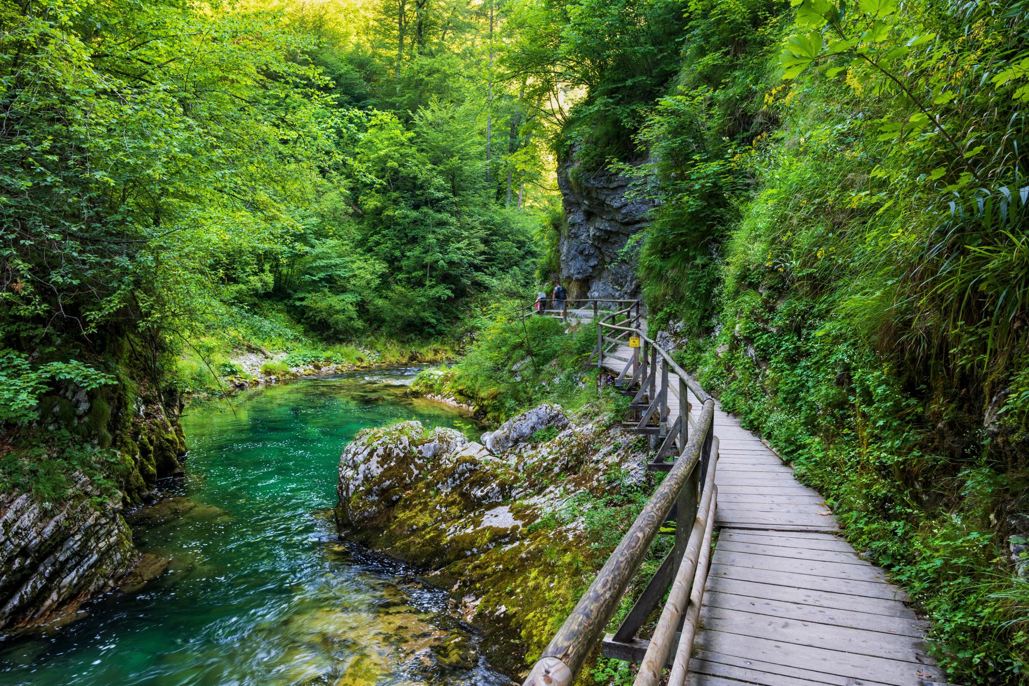 Passerelle en bois le long de la Radovna, entre les parois végétalisées des gorges de Vintgar.
