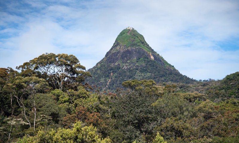 Sommet emblématique du Sri Lanka, un lieu de pèlerinage entouré de forêts tropicales et accessible par un sentier de randonnée.