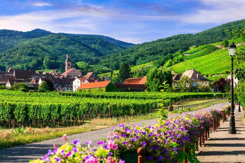 Village alsacien entouré de vignobles verdoyants sur la Route des Vins, avec une église à clocher et des fleurs colorées au premier plan