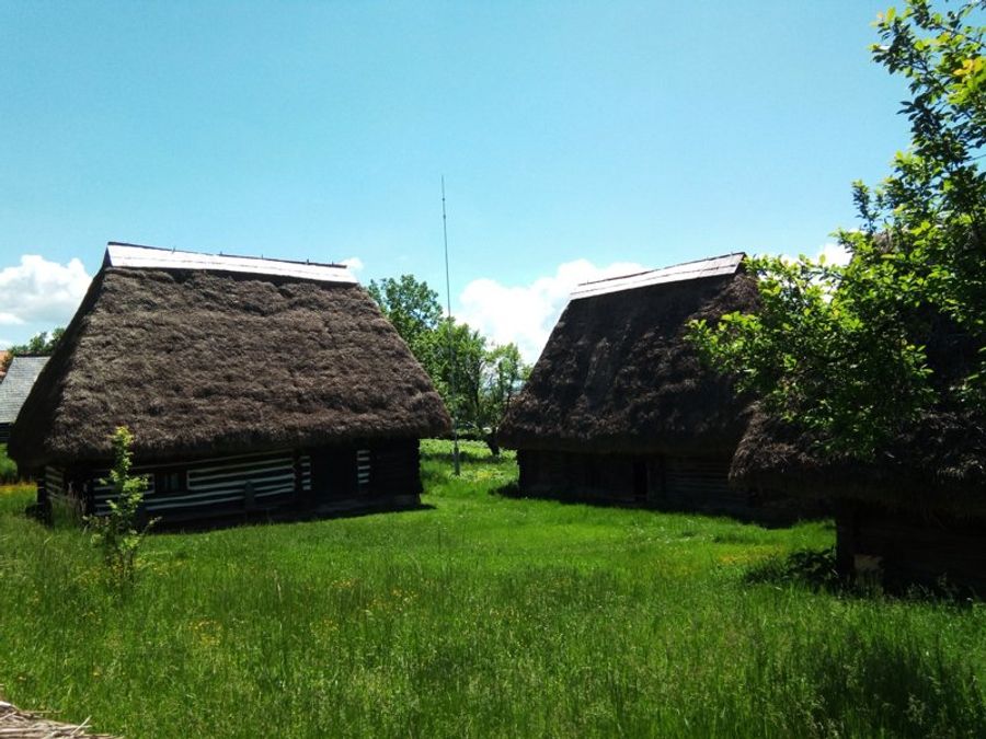 Maisons traditionnelles en bois avec toits de chaume