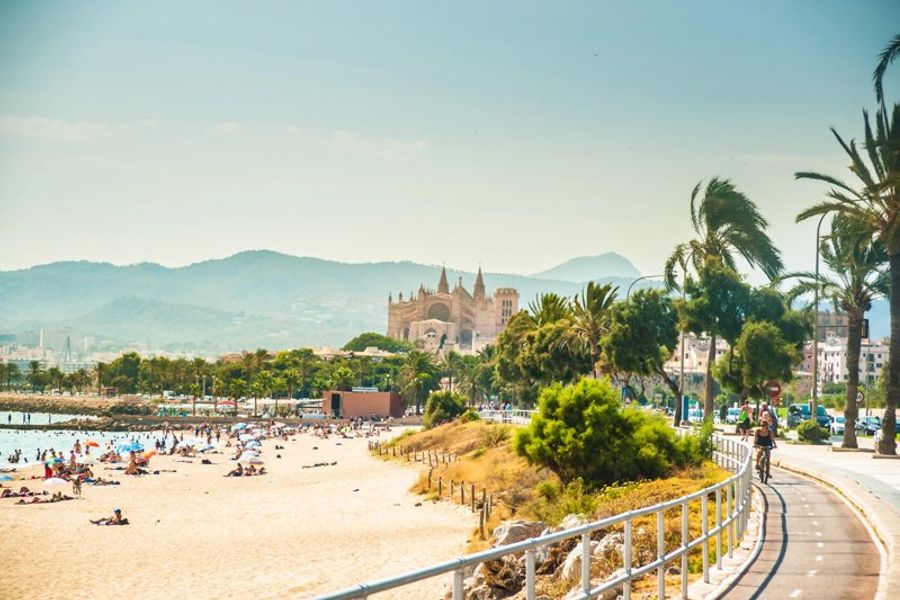 Vue panoramique de la plage et de la cathédrale de Palma de Majorque, avec des montagnes à l’arrière-plan.