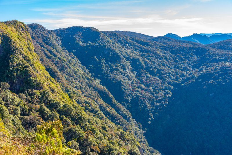 Paysage montagneux verdoyant du parc national de Horton Plains, avec ses vallées profondes et sa végétation luxuriante.