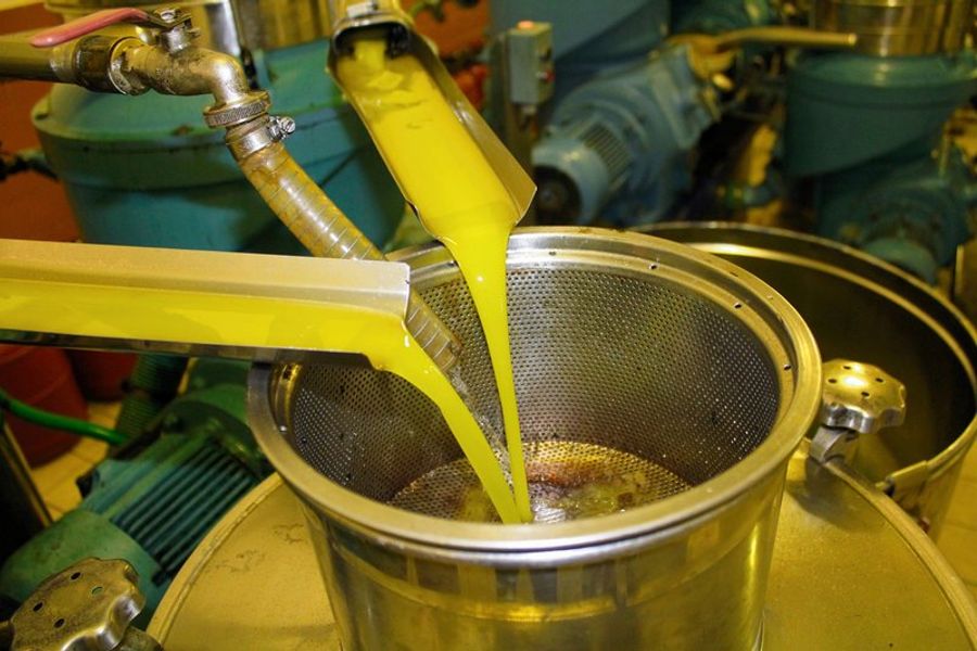 Extraction d’huile d’olive dans un moulin traditionnel avec des équipements en métal.