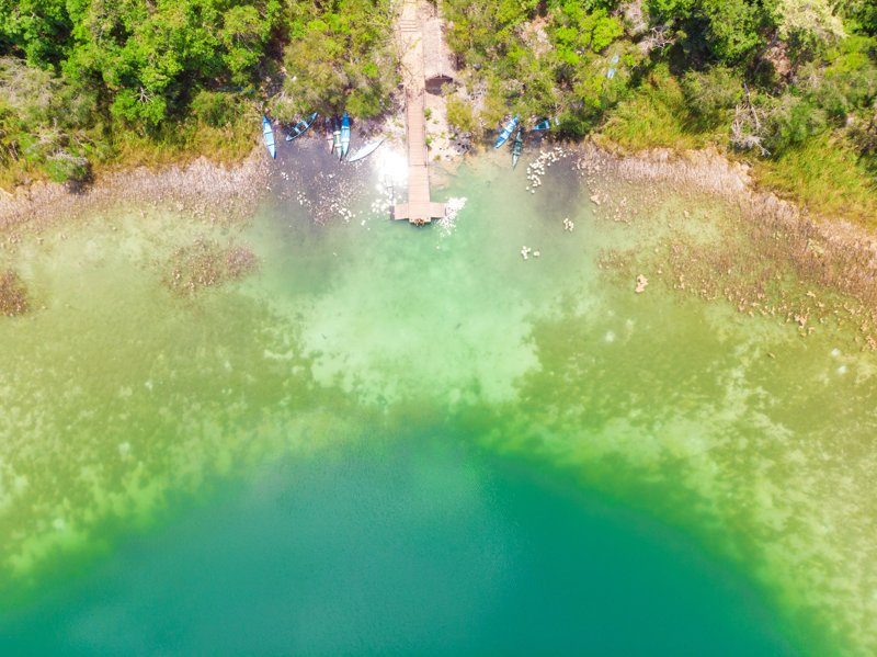 Vue aérienne de la réserve naturelle de Punta Laguna, Mexique, avec un quai en bois et une eau vert émeraude entourée de végétation dense