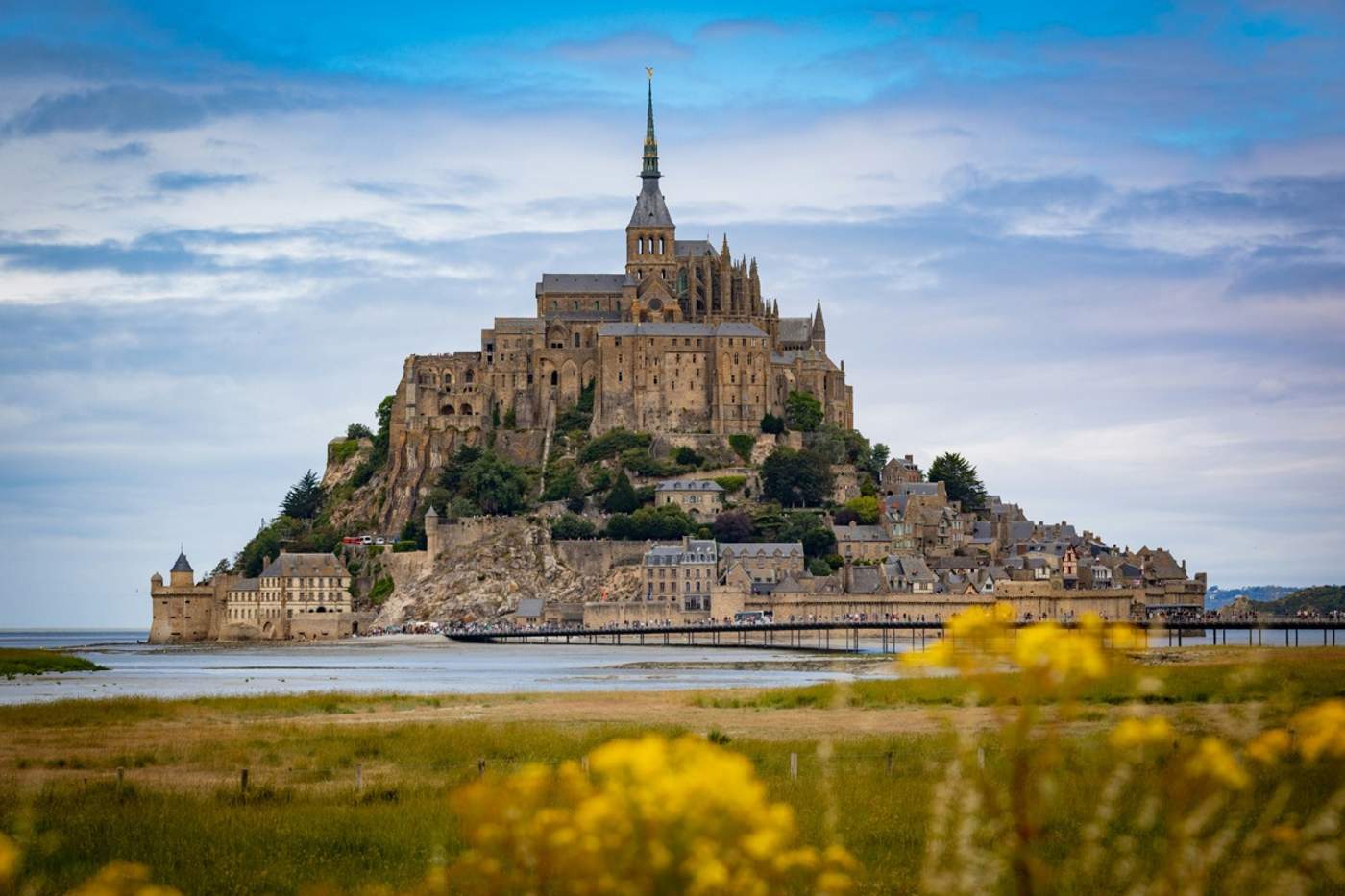 Vue du Mont-Saint-Michel depuis la baie, avec l’abbaye perchée au sommet et des fleurs jaunes au premier plan.