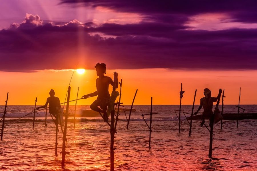 Pêcheurs sri lankais traditionnels sur piquets au coucher du soleil près de Galle
