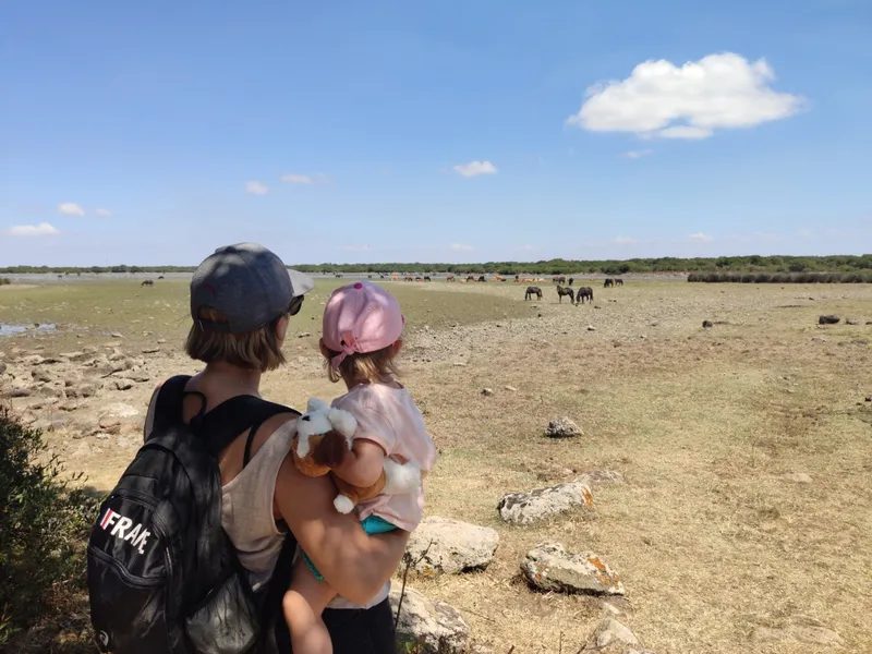 Maud et Anna observant les chevaux sauvages du plateau de Giara