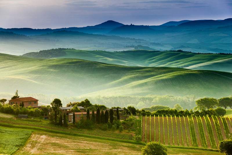 Collines verdoyantes de Toscane enveloppées dans la brume matinale au printemps, avec des vignes en rangées et une ferme traditionnelle en contrebas