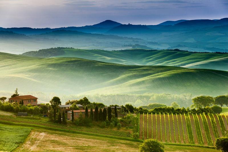 Collines verdoyantes de Toscane enveloppées dans la brume matinale au printemps, avec des vignes en rangées et une ferme traditionnelle en contrebas