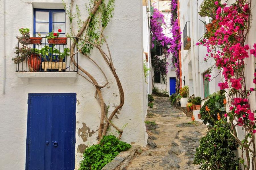 Une rue étroite de Cadaqués, avec des maisons blanches, des bougainvilliers colorés et des fenêtres bleues.