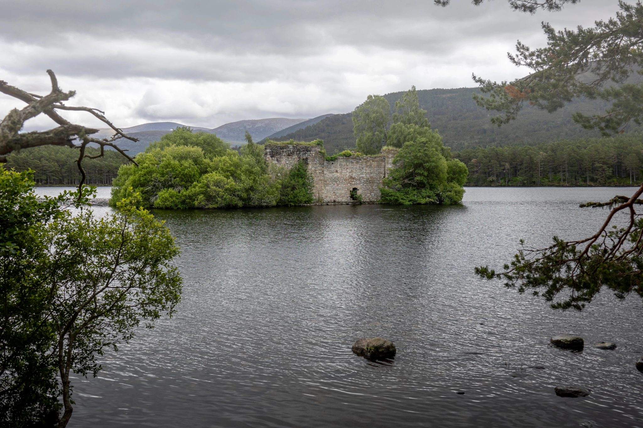 Ruines du château de Loch an Eilein sur une île, dans la forêt de Rothiemurchus